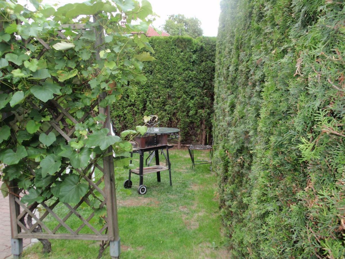 Bed and breakfast Noclegi16 2*